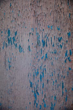 digital finance innovations