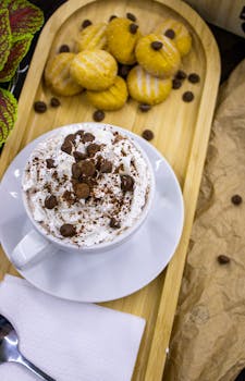 online casino bonuses