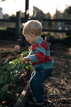 financial planning on pexels