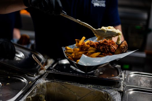 Lainan Koron Määräytyminen: Perusteet Ja Tekijät Selkeästi