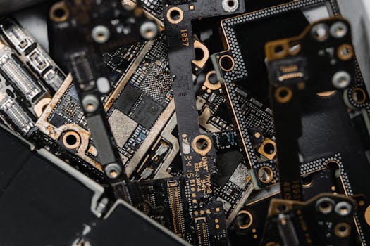 {government_guarantee}