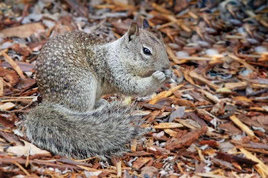 {financial_planning_for_home_on_pexels}