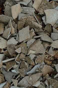 auto-purchase-transaction