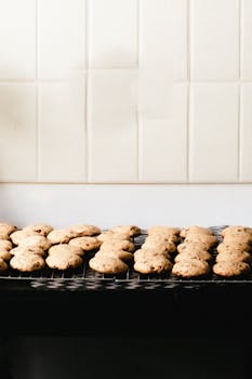 casino-games-experience