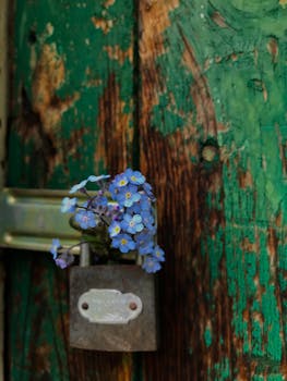 {interest_rate_forecast}