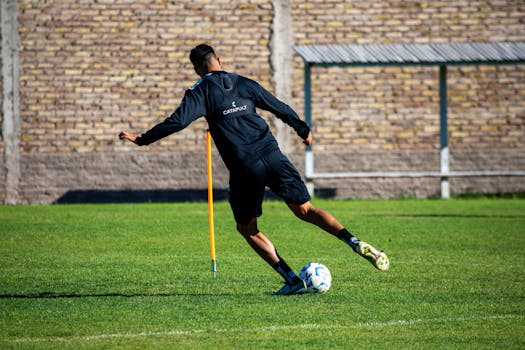 lainan korko laskuri