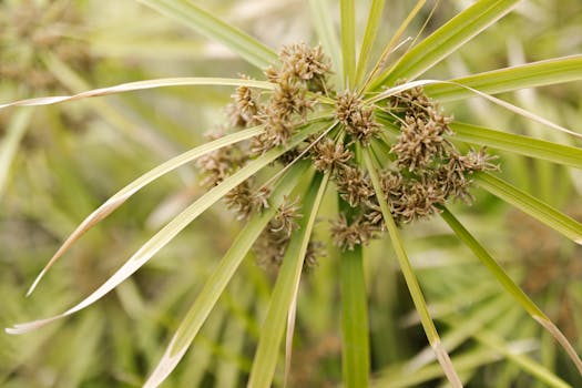 Ninja Casino Mobiili – Parhaat Mobiilikasinoratkaisut Ja Pelaaminen Missä Vain