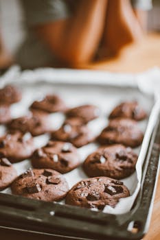 Ray Pokeri Turku: Kasinoita, Pelipaikkoja Ja Pokerikulttuuria Turussa