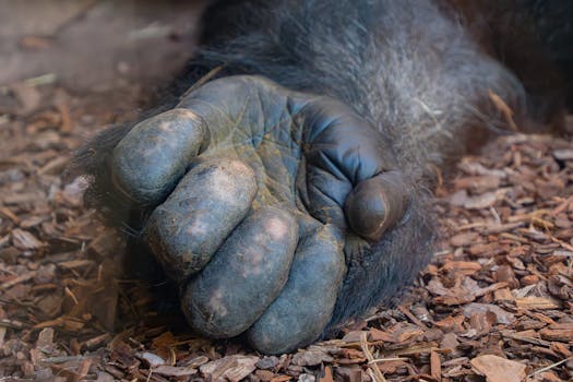 Järjestelylaina: Miten Se Toimii Ja Hyödyt