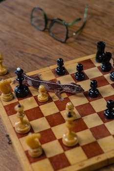 Tietoa 300 Euron Vippivainoista Ja Niiden Käyttötarkoituksista