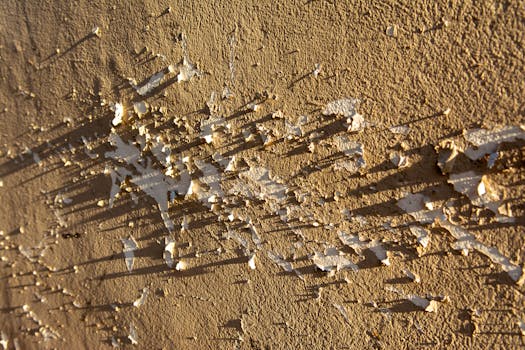 {historical_economy_and_interest_rates}